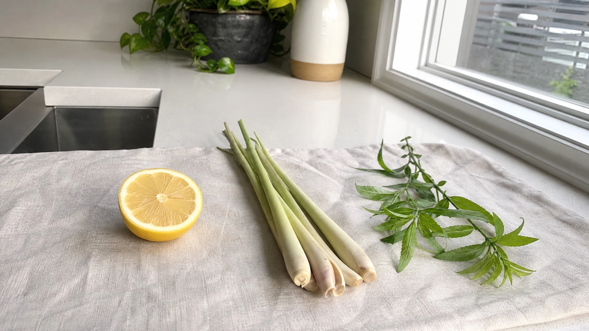 Lemon-Scented Essential Oils Compared by Chemistry and Use