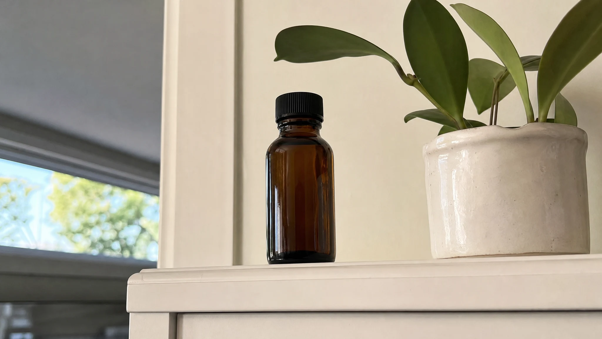 Lemon Verbena Oil Safety: What Each Authority Actually Says