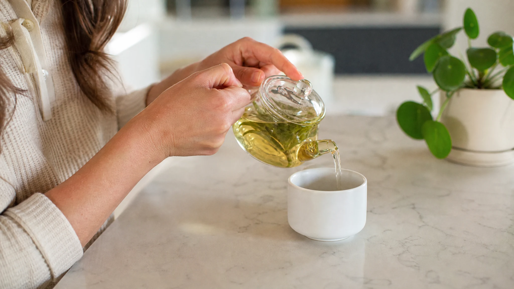 Lemon Verbena Tea vs Essential Oil: The Arithmetic of a Drop